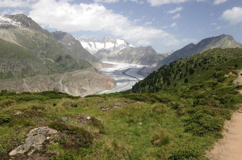 Foto 6 - Appartamento con 3 camere da letto a Riederalp