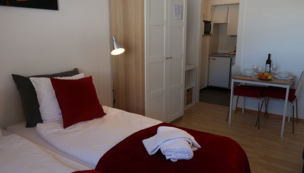 Apartment mit 1 Schlafzimmer in Nendaz - Foto 4