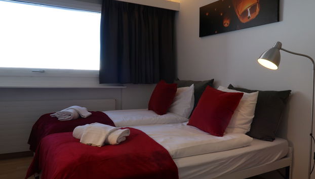 Apartment mit 1 Schlafzimmer in Nendaz - Foto 2