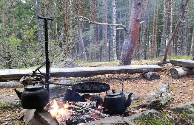 Haus mit 2 Schlafzimmern in Rääkkylä - Foto 25