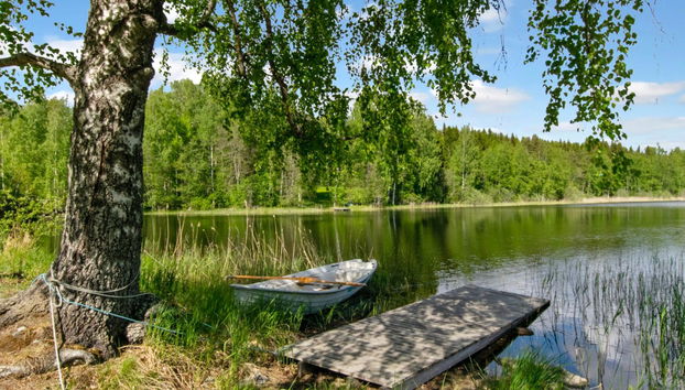 Casa de 2 quartos em Enonkoski com sauna - Foto 4