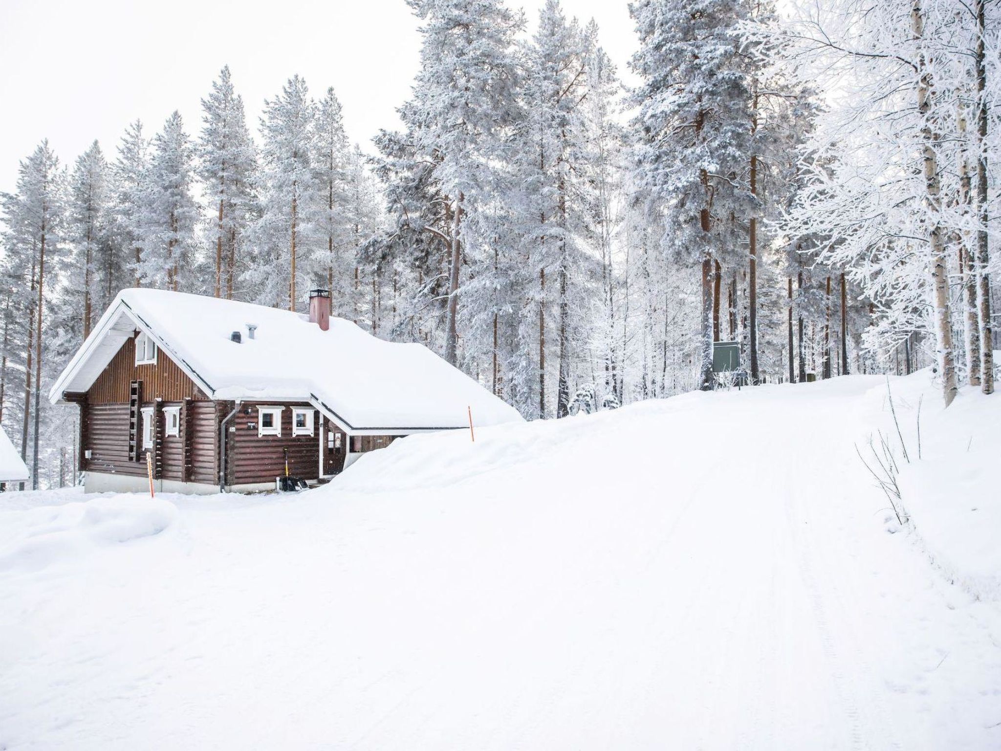 Foto 27 - Casa con 3 camere da letto a Lieksa con sauna