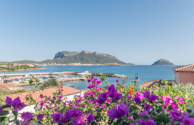 Apartamento de 3 quartos em Golfo Aranci com piscina e jardim - Foto 17