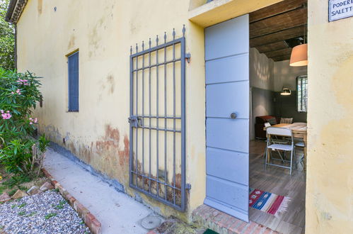 Photo 10 - Maison de 2 chambres à Crespina Lorenzana avec piscine et jardin