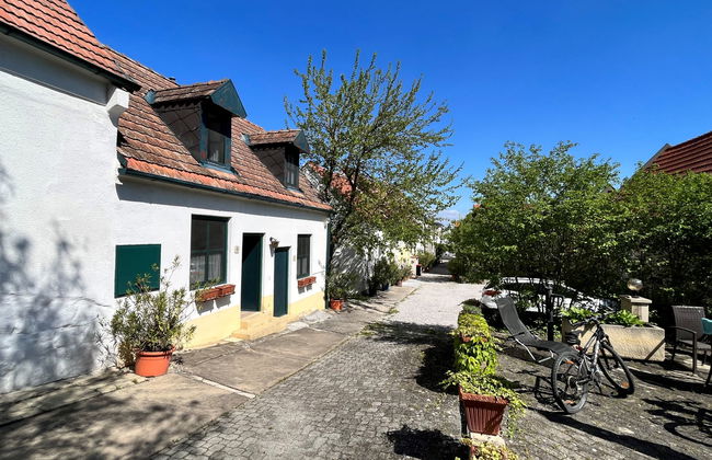 Apartamento de 2 quartos em Mörbisch am See com terraço - Foto 31