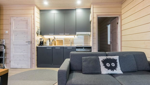 Casa de 1 quarto em Pelkosenniemi - Foto 4