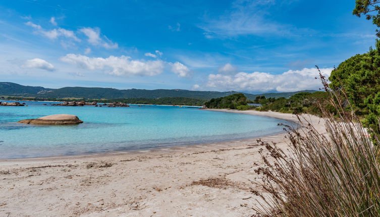 Photo 1 - 1 bedroom House in Porto-Vecchio with terrace and sea view