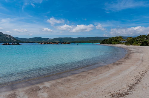 Photo 20 - Maison de 1 chambre à Porto-Vecchio avec terrasse et vues à la mer