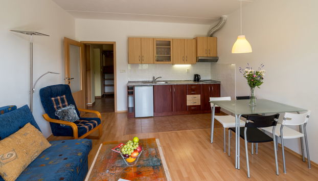 Appartement de 2 chambres à Janské Lázně avec terrasse - Photo 2