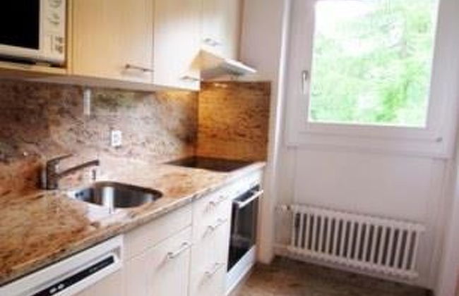 Apartamento de 2 quartos em Saas-Fee - Foto 2
