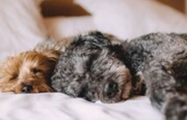 Park Sedo Aparthotel - Foto 2