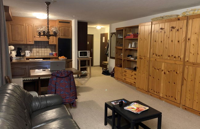 Apartamento de 1 quarto em Saas-Fee com jardim - Foto 14