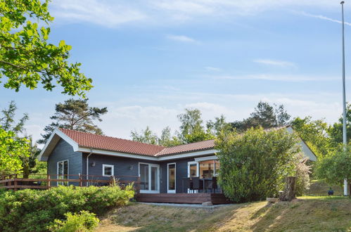 Photo 23 - Maison de 3 chambres à Ebeltoft avec terrasse