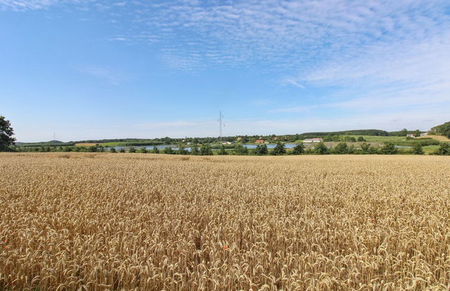 "Kundry" - 800m from the sea - Foto 18