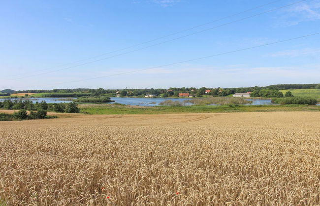 "Kundry" - 800m from the sea - Foto 21