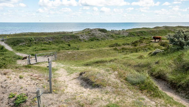 Haus mit 3 Schlafzimmern in Sjællands Odde mit terrasse - Foto 5