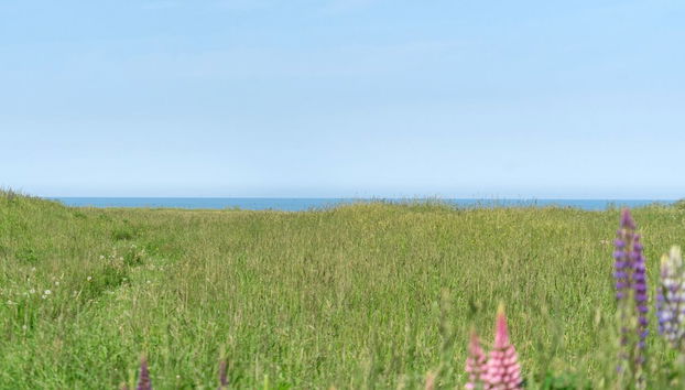 Casa de 3 quartos em Lønstrup com terraço e sauna - Foto 3