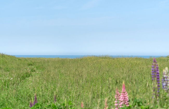 Casa de 3 quartos em Lønstrup com terraço e sauna - Foto 3