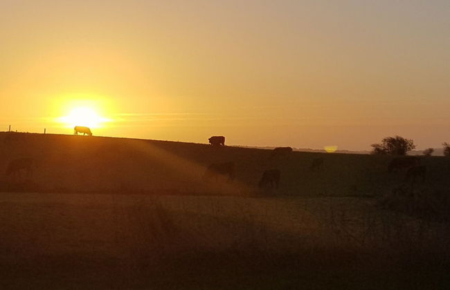 "Siebelt" - 200m from the sea - Foto 6