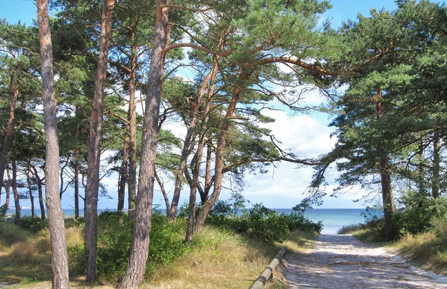 "Ignat" - 175m from the sea - Foto 6