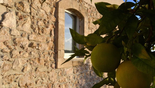 Scilla Maris Charming Suites-Restaurant - Foto 4