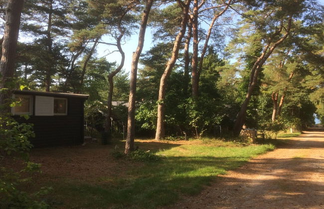 "Nonna" - 275m from the sea - Foto 22