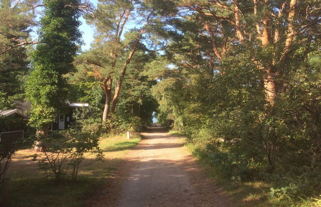 "Nonna" - 275m from the sea - Foto 23