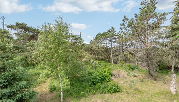 3 bedroom House in Sønderho with terrace and sauna - Photo 5