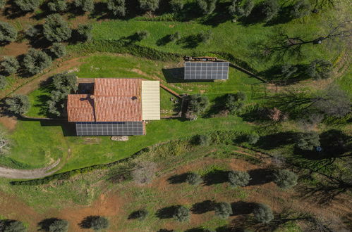 Foto 39 - Casa de 5 quartos em Scansano com jardim e terraço