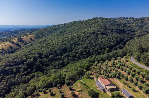 Foto 6 - Casa de 2 quartos em Scansano com jardim e terraço