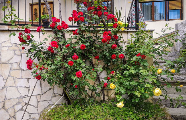 Casa de 7 quartos em Vinodolska Općina com terraço - Foto 17