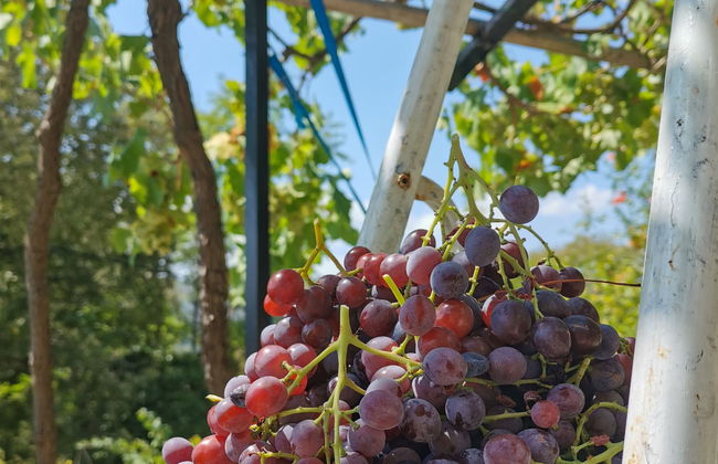 Casa de 7 quartos em Vinodolska Općina com terraço - Foto 18