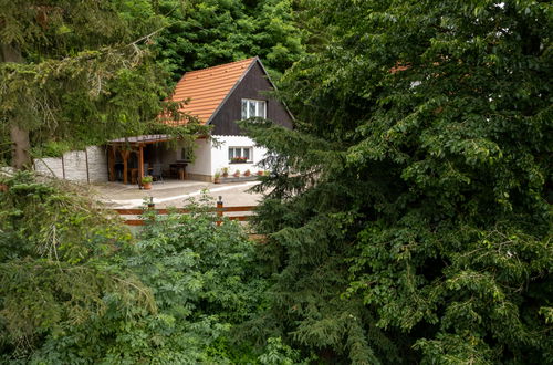 Photo 23 - House in Dolni Zimor with garden and terrace