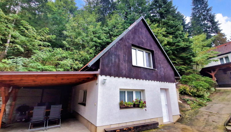 Foto 1 - Casa em Dolni Zimor com jardim e terraço