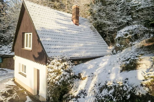 Photo 31 - House in Dolni Zimor with garden and terrace