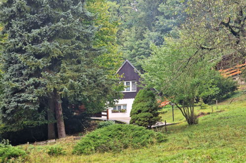 Photo 16 - Maison en Dolni Zimor avec jardin et terrasse