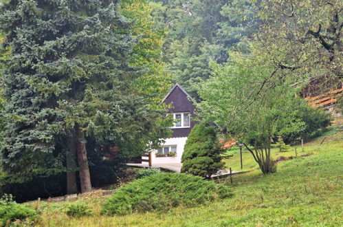 Photo 16 - House in Dolni Zimor with garden and terrace