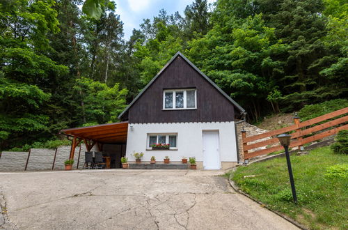 Photo 24 - House in Dolni Zimor with garden and terrace