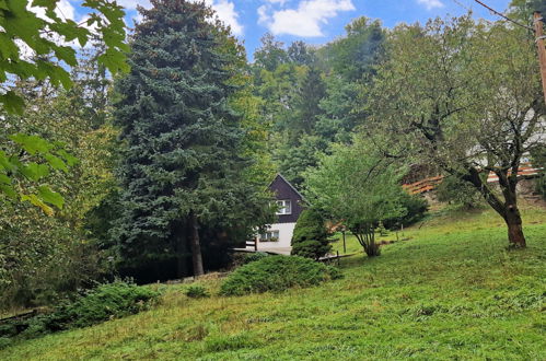 Foto 17 - Casa em Dolni Zimor com jardim e terraço
