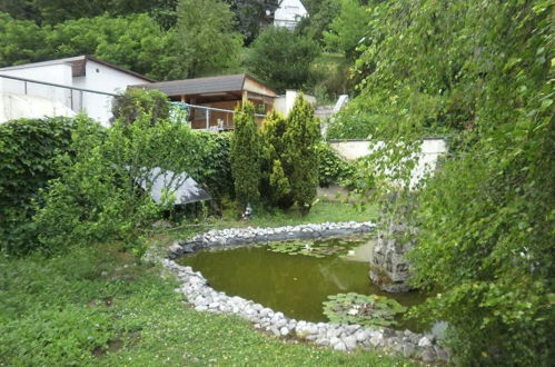 Foto 18 - Casa em Dolni Zimor com jardim e terraço