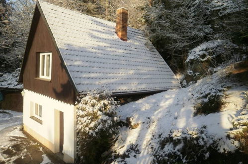 Foto 19 - Haus in Dolni Zimor mit garten und terrasse