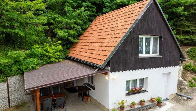 Foto 1 - Casa a Dolni Zimor con giardino e terrazza