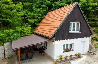 Photo 1 - Maison en Dolni Zimor avec jardin et terrasse