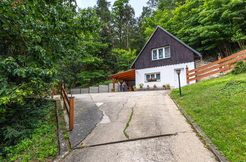 Photo 29 - Maison en Dolni Zimor avec jardin et terrasse