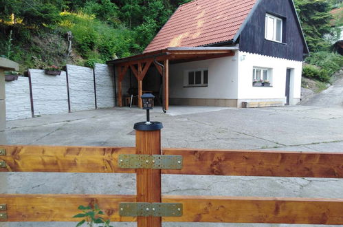 Photo 12 - Maison en Dolni Zimor avec jardin et terrasse