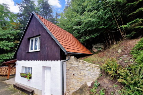 Photo 9 - Maison en Dolni Zimor avec jardin et terrasse