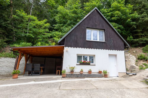 Photo 30 - House in Dolni Zimor with garden and terrace