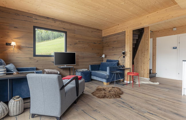 Casa de 4 quartos em Hohentauern com jardim e terraço - Foto 9