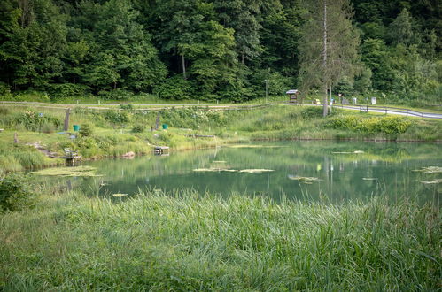 Photo 24 - Appartement de 1 chambre à Ossiach avec jardin et vues sur la montagne