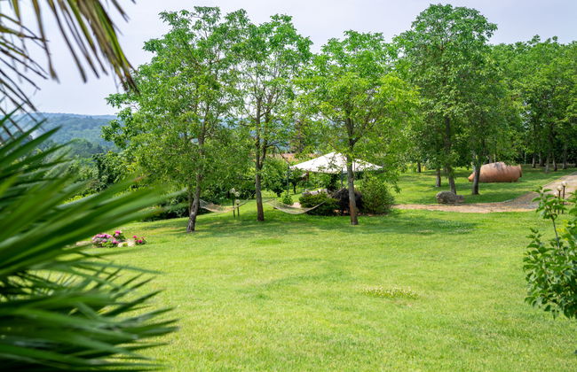 Apartamento de 5 quartos em Monteu Roero com piscina privada e jardim - Foto 33